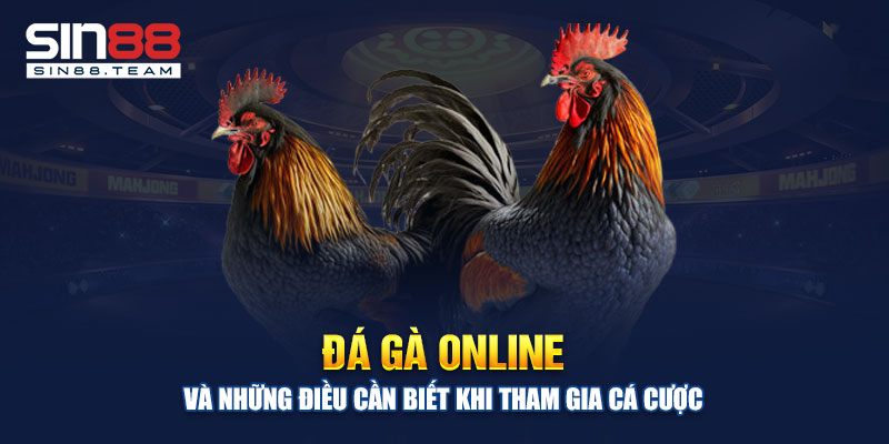 Đá Gà Online Và Những Điều Cần Biết Khi Tham Gia Cá Cược