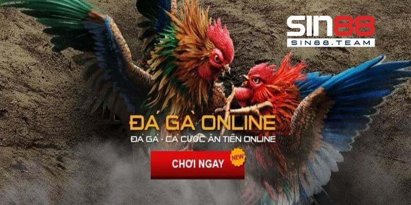 Đá Gà Online Và Những Điều Cần Biết Khi Tham Gia Cá Cược